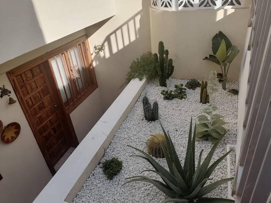 Casa Las Pencas De Margarita Λος Ρεαλέχος Εξωτερικό φωτογραφία